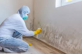 Best Post-Construction Mold Inspection  in Maricopa, CA