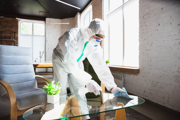 Best Emergency Mold Remediation  in Maricopa, CA